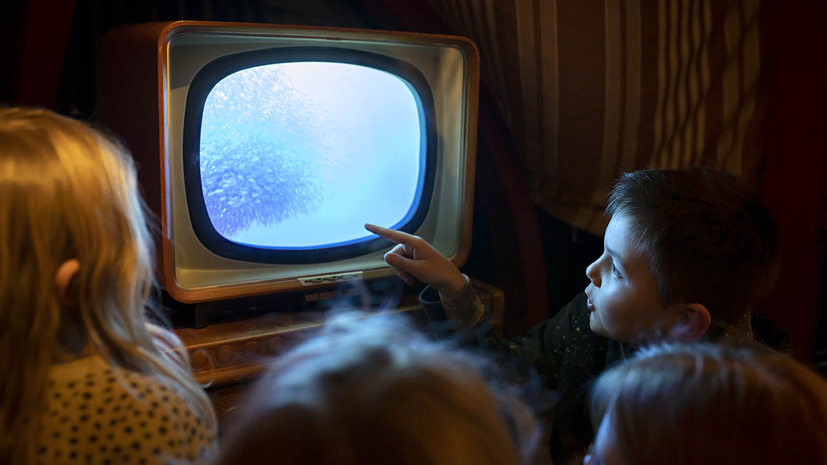 Nu kan du låna ett Museikort